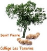Les Sections Sportives Scolaires Judo Les Sections Sportives Scolaires Judo