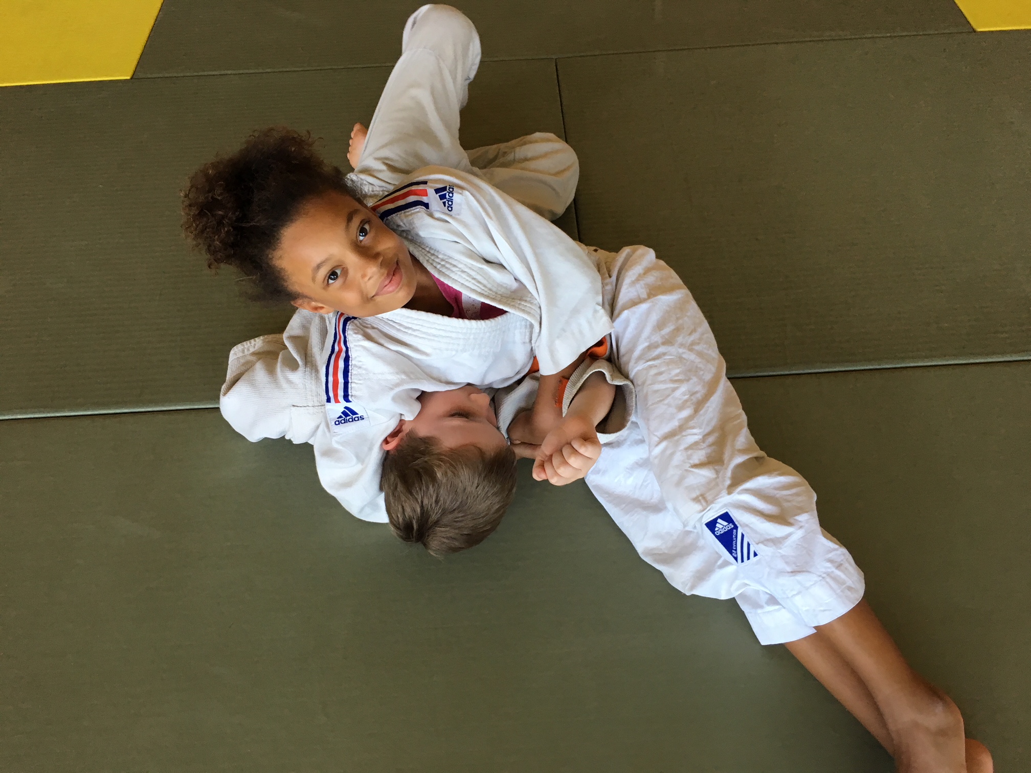 Le judo : son enseignement, ses valeurs
